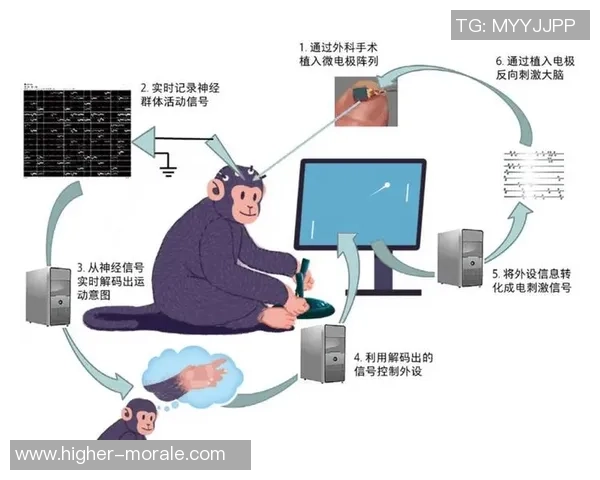 脑机接口电竞新纪元：用思维直接操控游戏世界的未来探索